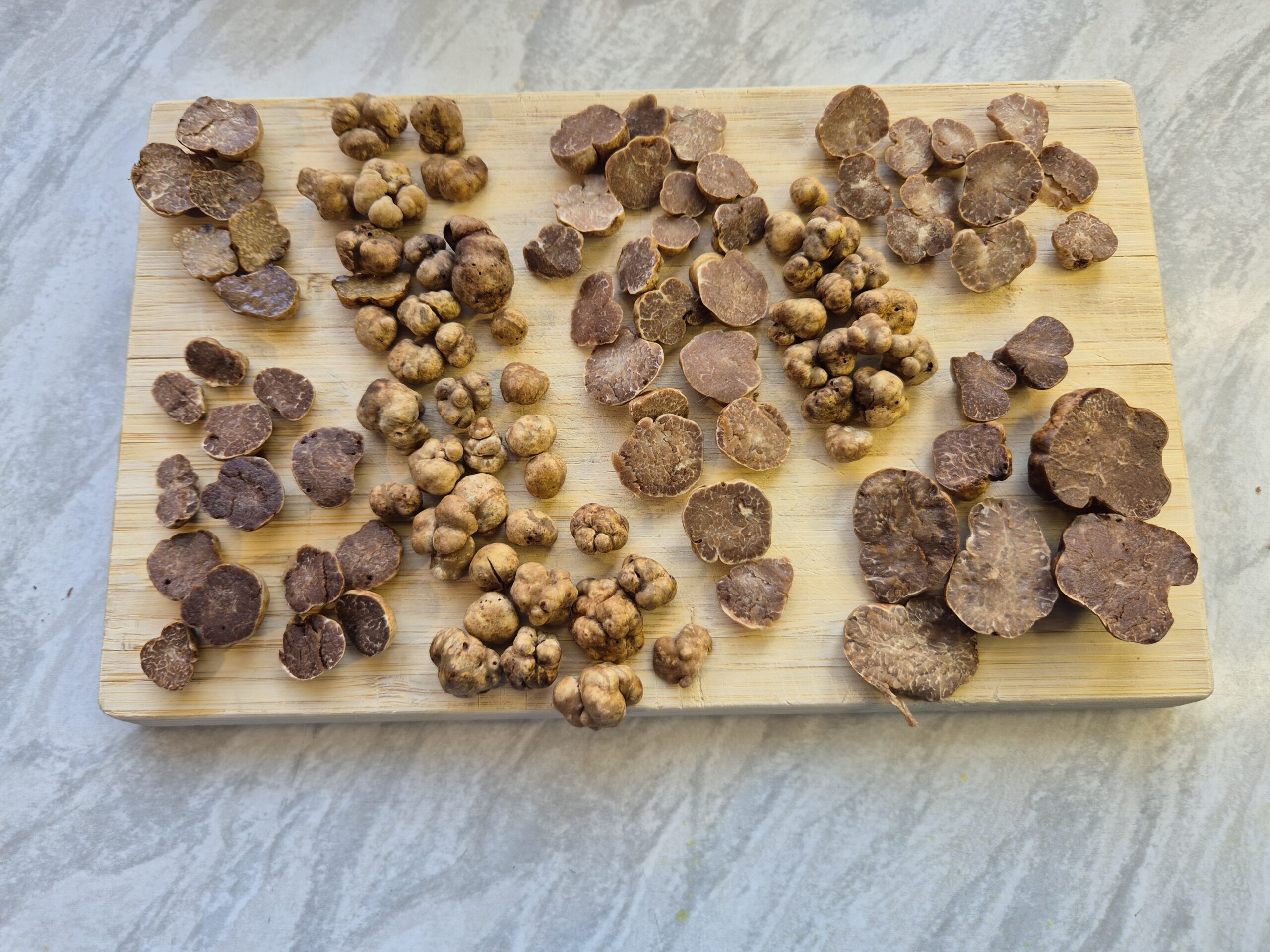 Tryffelimetsää Suomessa