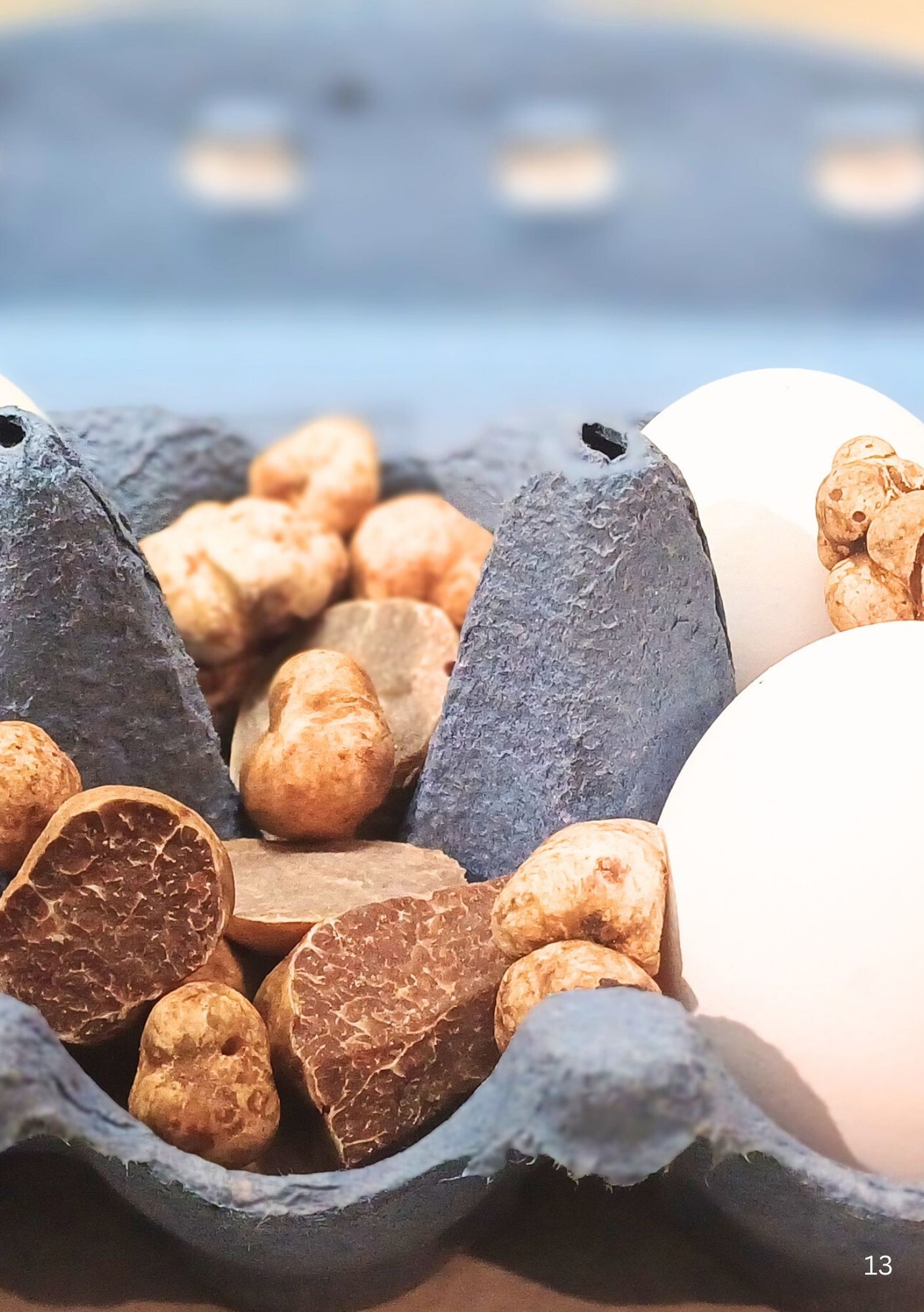 Kirjan sisäaukeama 1