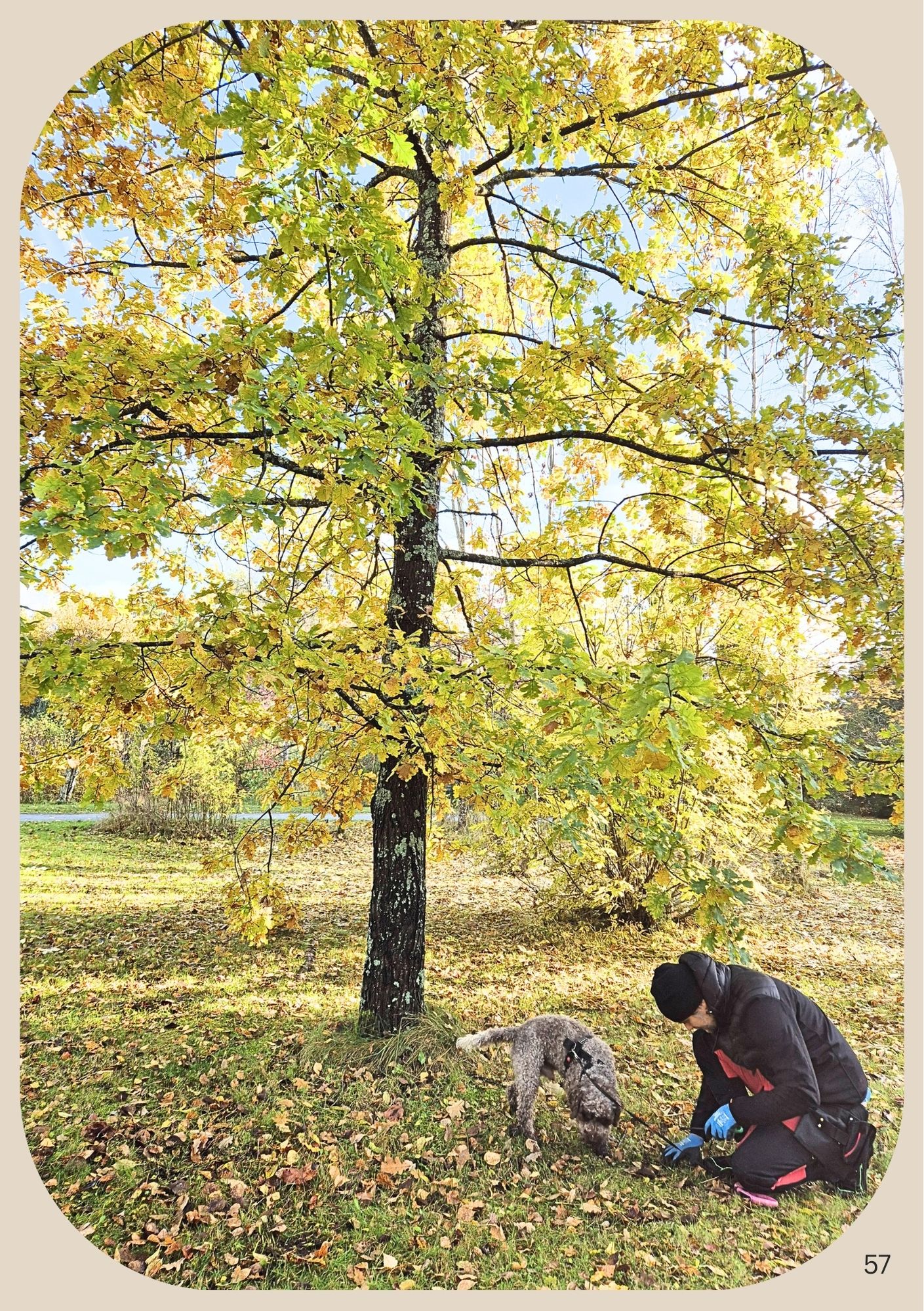 Kirjan sisäaukeama 2